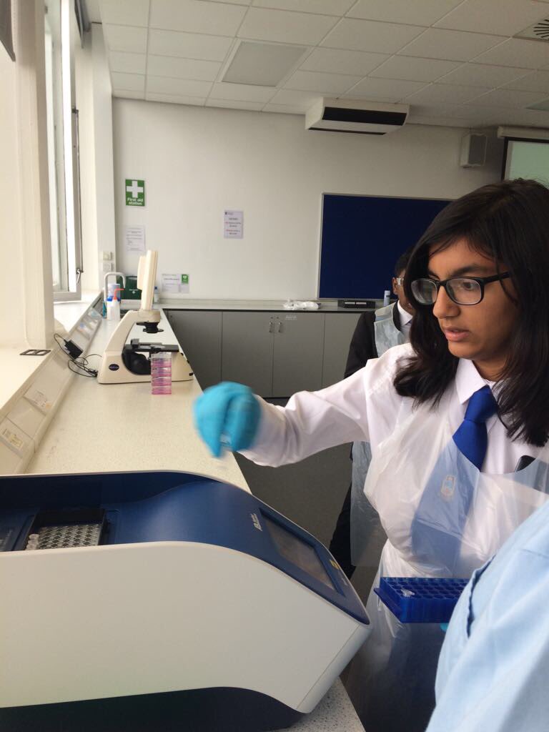 LourdesScience's tweet image. Total concentration working with the PCR thermocycler! Don&apos;t we look like proper scientists 👨🏻‍🔬👩🏼‍🔬