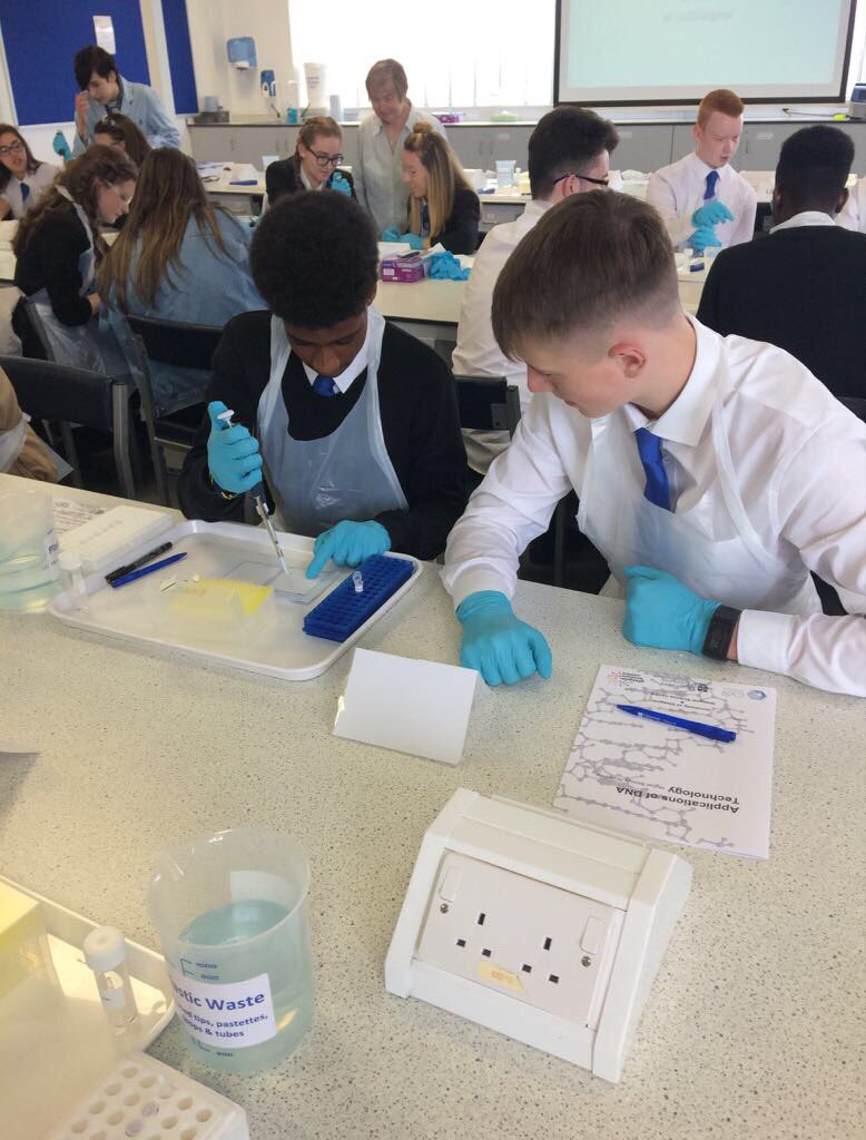 LourdesScience's tweet image. Total concentration working with the PCR thermocycler! Don&apos;t we look like proper scientists 👨🏻‍🔬👩🏼‍🔬