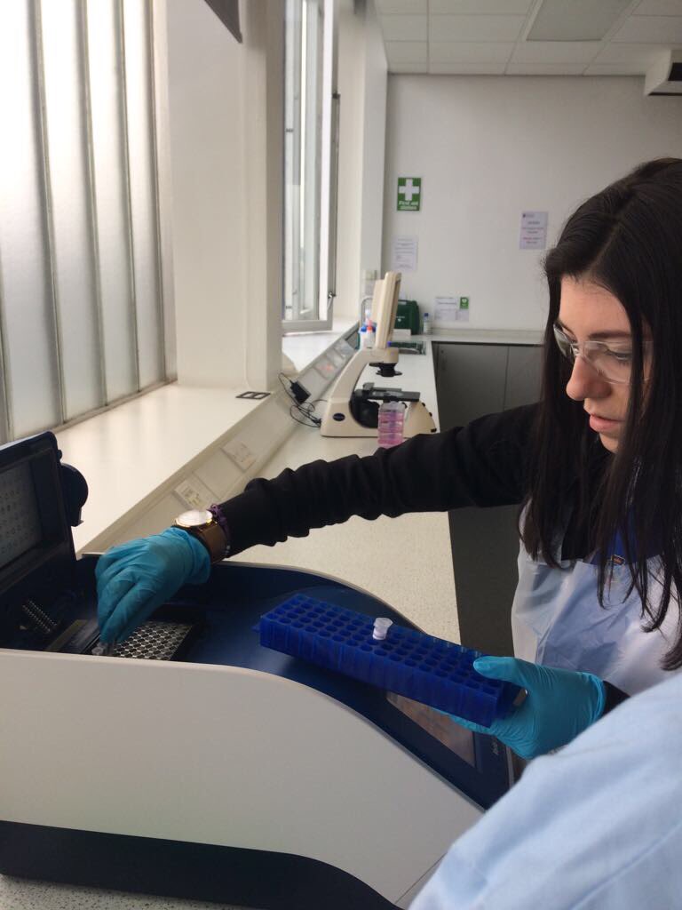 LourdesScience's tweet image. Total concentration working with the PCR thermocycler! Don&apos;t we look like proper scientists 👨🏻‍🔬👩🏼‍🔬