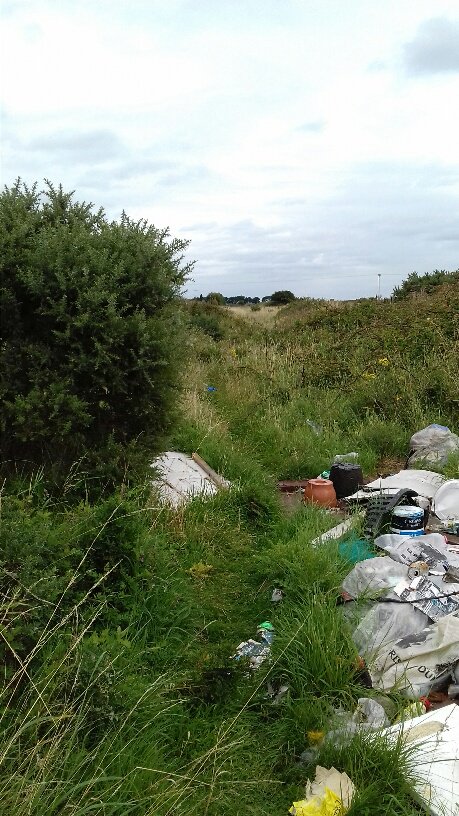 IT Illegal Dumping tweet media