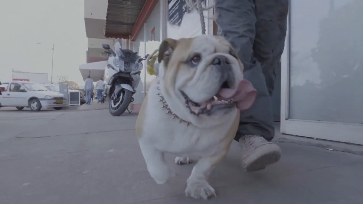 Francois van Coke tweet media