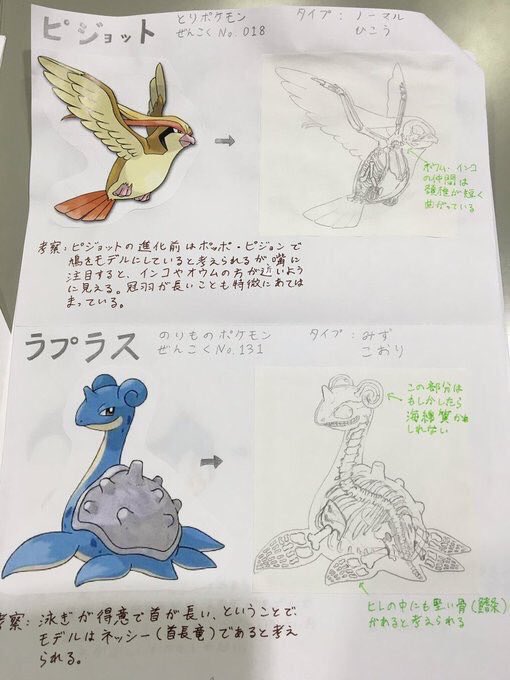 いのり ポケモンの骨格について考えた夏休みの自由研究が凄過ぎる いのり ポケモンの骨格について考えた夏休みの自由研究が凄過ぎる