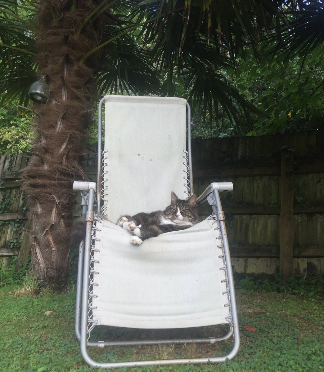 My cat is smug because he holidays exclusively in tropical countries, using the cash he has harvested from the housing market.