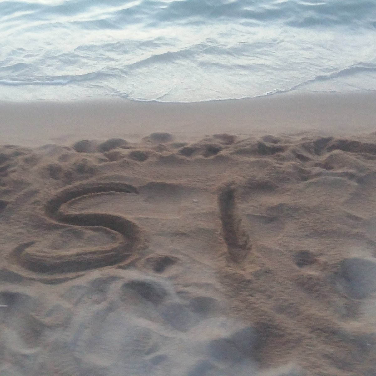 #isoladeigabbiani #sardegna2017