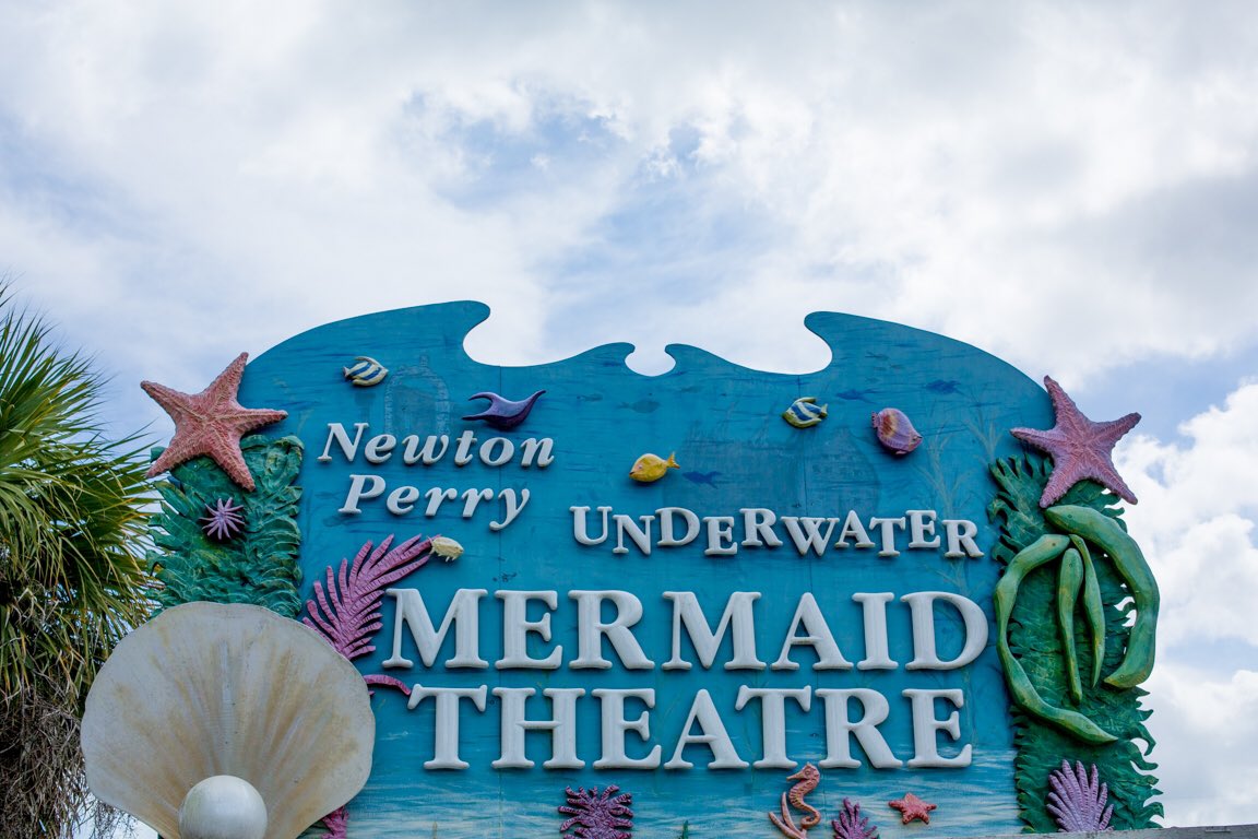 mermaidsdoc's tweet photo. MERMAIDS hits iTunes in Canada today! 👏 Movie night anyone?? 🎥✨ https://t.co/Ugoh8f9nCG https://t.co/TIU9UXQZjE