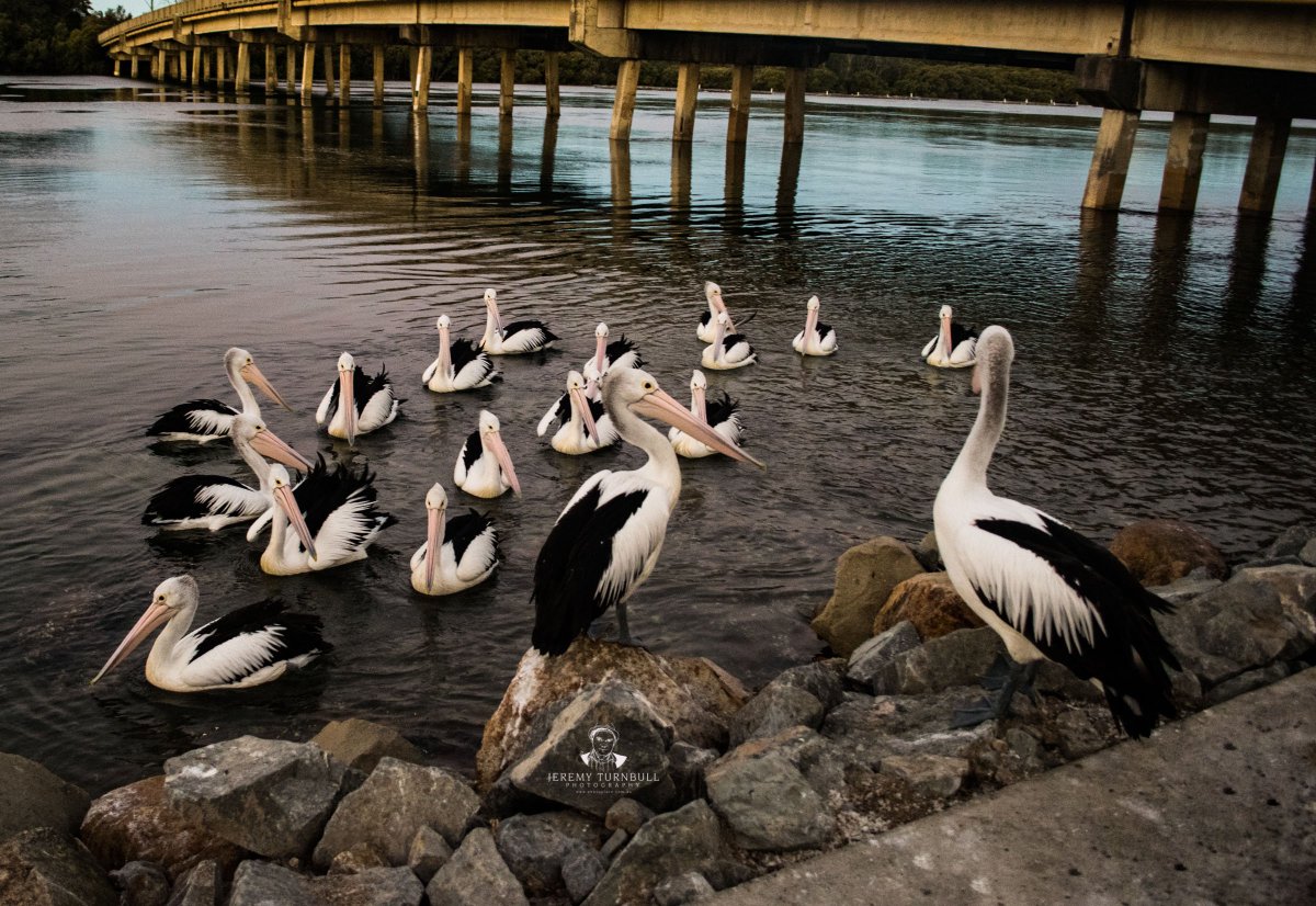 Team meeting to discuss the Instagram &amp; Facebook algorithm changes for posts
.
#DigitalMarketing #SEO #SMM #WebDesign