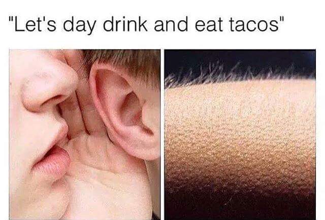 Happy Taco Tuesday
