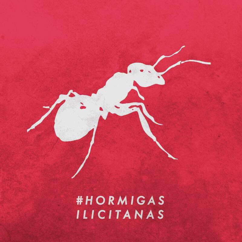 TripartitoElche's tweet photo. En el portal de transparencia del @ajuntamentelx podras ver el coste y del impacto turistico de campaña de @visitelche #HormigasIlicitanas https://t.co/kKYMD94gXj