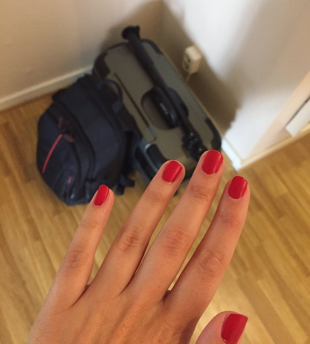 Linda Carlsson tweet media