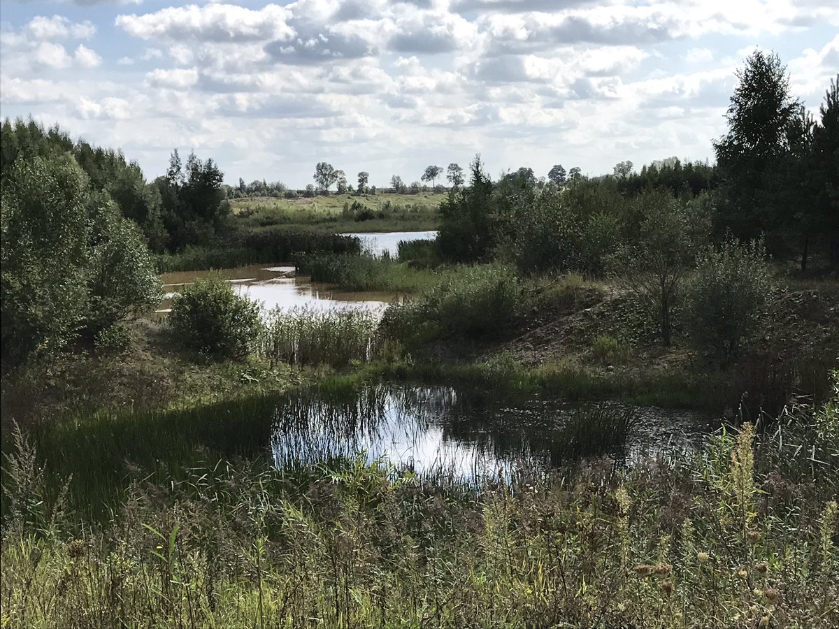 Cemex Poland giving back to Mother Nature...8 yrs after Mirowo I Quarry reclamation.