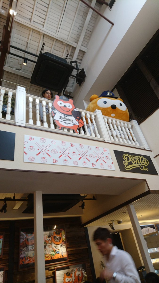 脳を休める方法で一番簡単な方法はかわいい写真を見ること