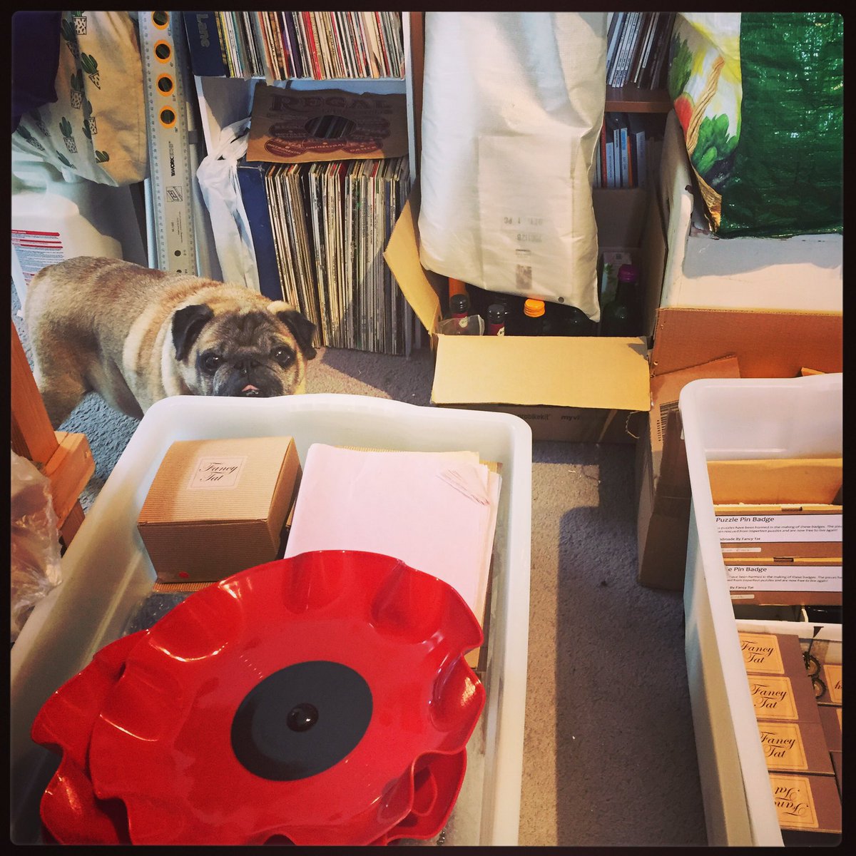 Packing boxes for the @hevercastle #handmadeandhomegrown event this weekend. Arty is not helping...#etsypets #hevercastle #upcycle #fancytat