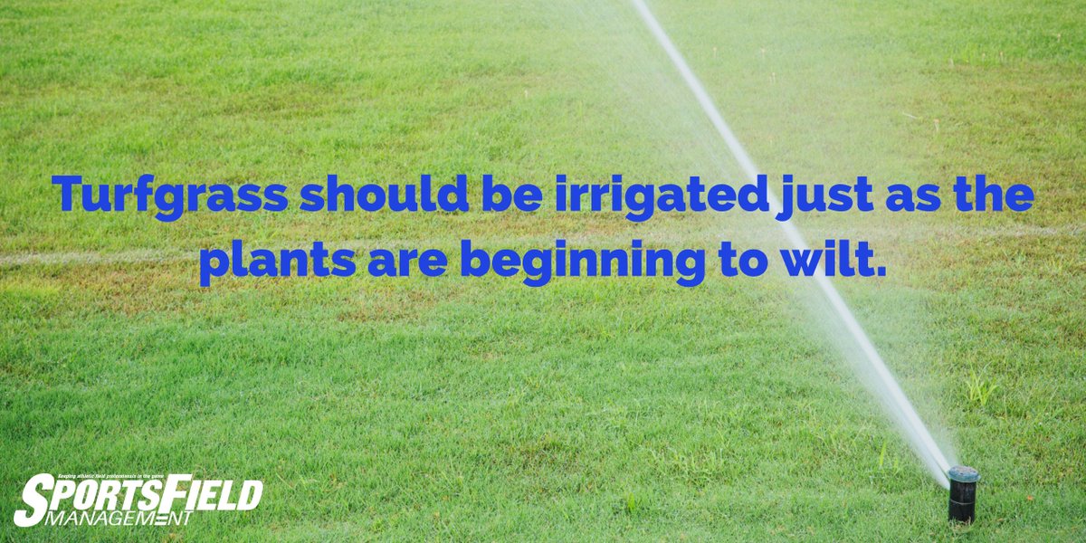 SFM_Magazine's tweet image. A slight change in the color (to blue or grayish green) or quality of light reflected from the leaf precedes wilting. #TurfHealthTuesday