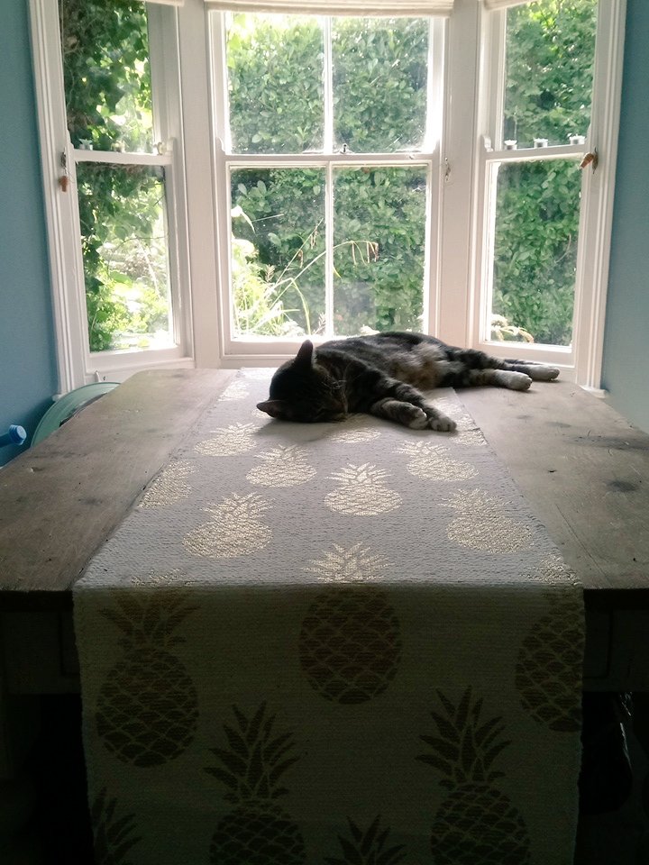 Finally got my amazing new <a href="/Anthropologie/">Anthropologie</a> table runner so in love! 😍 #pinapples #homedecor  #feels #sunshine #perfect