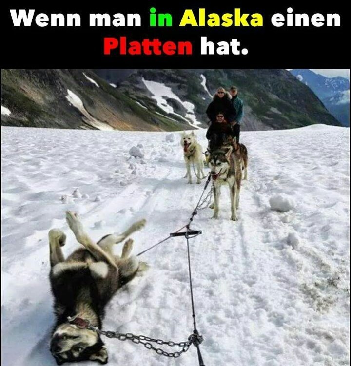 _Lachkick_'s tweet photo. 😂😂😂 Wer feiert uns? Liket!:3 https://t.co/i3K5ycUXbm