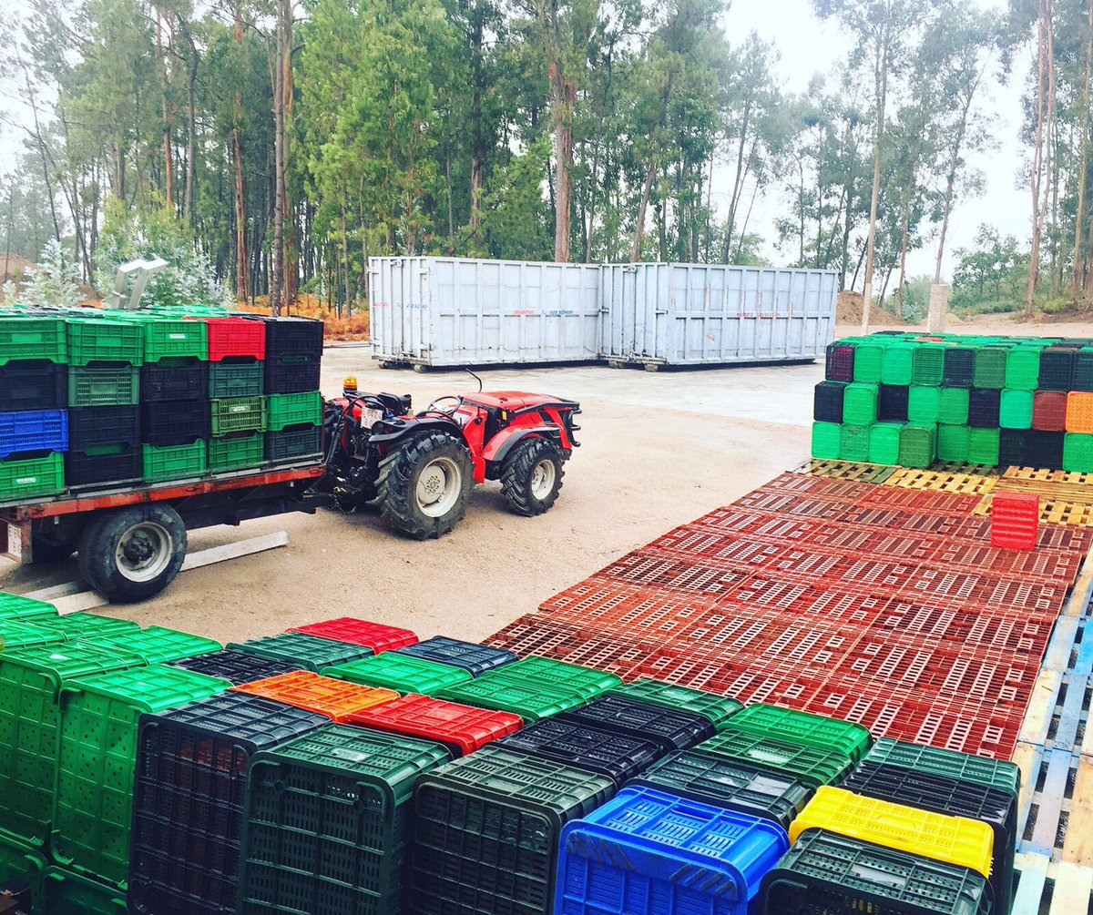 SrodeRubios's tweet photo. Estamos listos para empezar la #vendimia2017 ! We are ready!! #harvest17 #riasbaixas #condadotea #galiciacalidade #albariño #pedral https://t.co/KdUx1blkHU