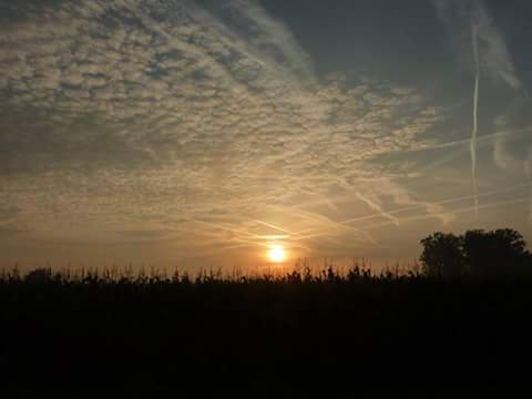_Freedomm tweet picture