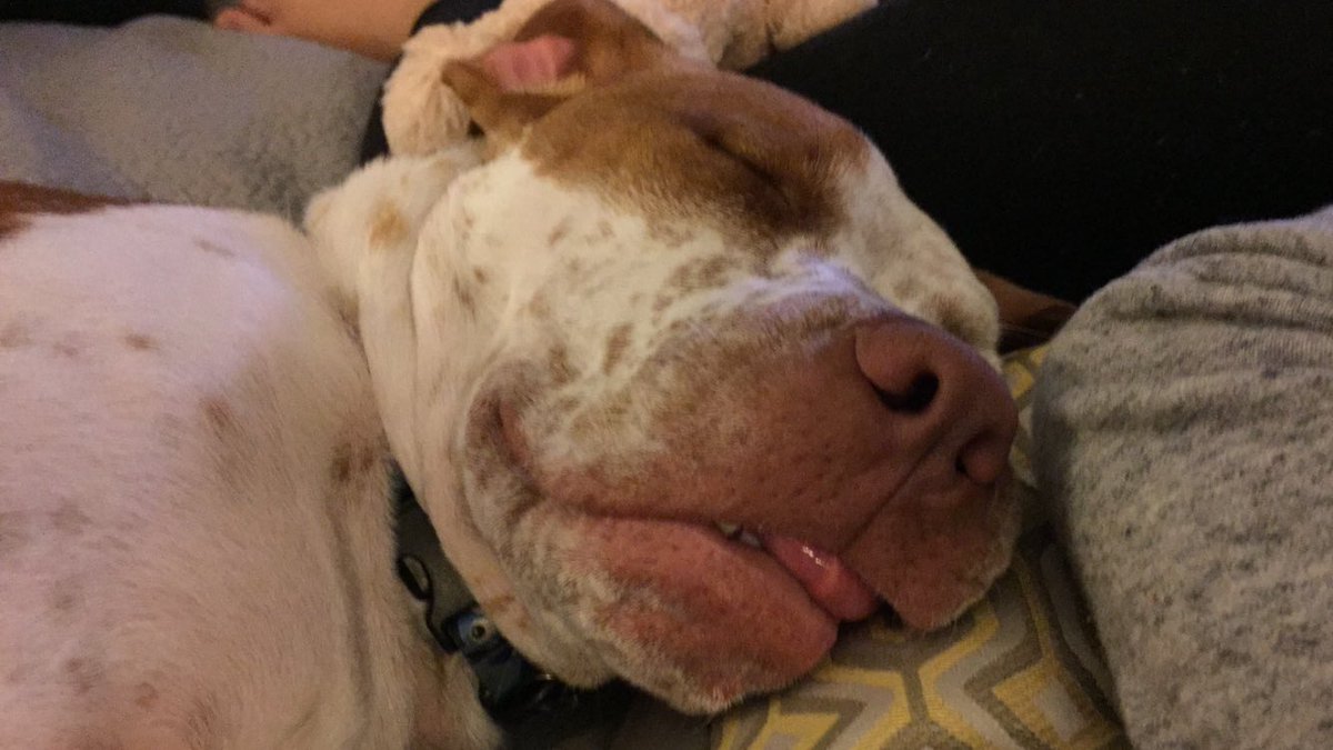 Syfer Music tweet media