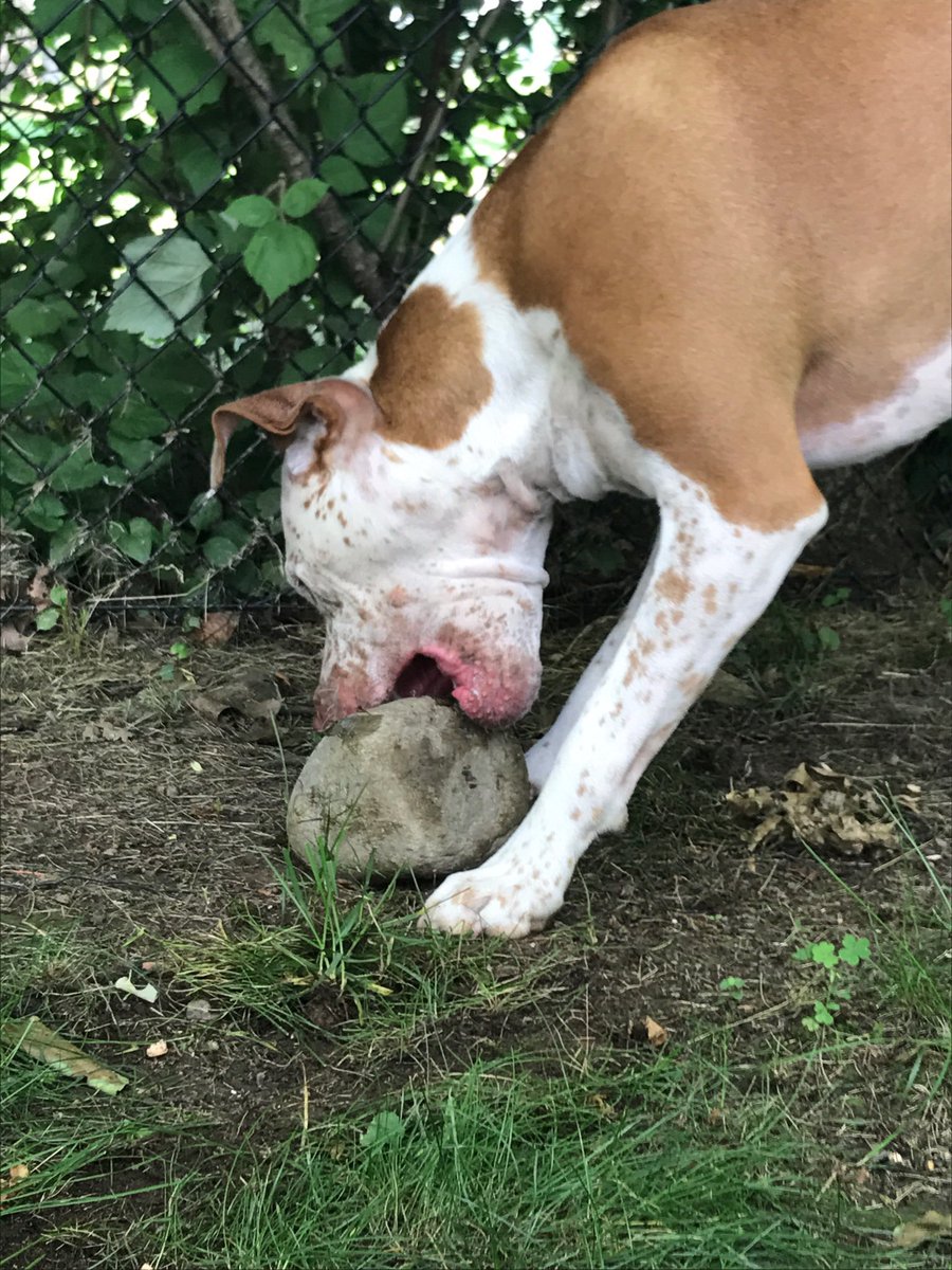 Syfer Music tweet media