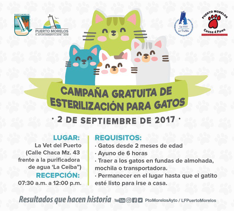 ¡Cuidemos y amemos a nuestras mascotas!

Acude este 2 de Septiembre a la Campaña gratuita de esterilización para gatos y gatitos 🐱