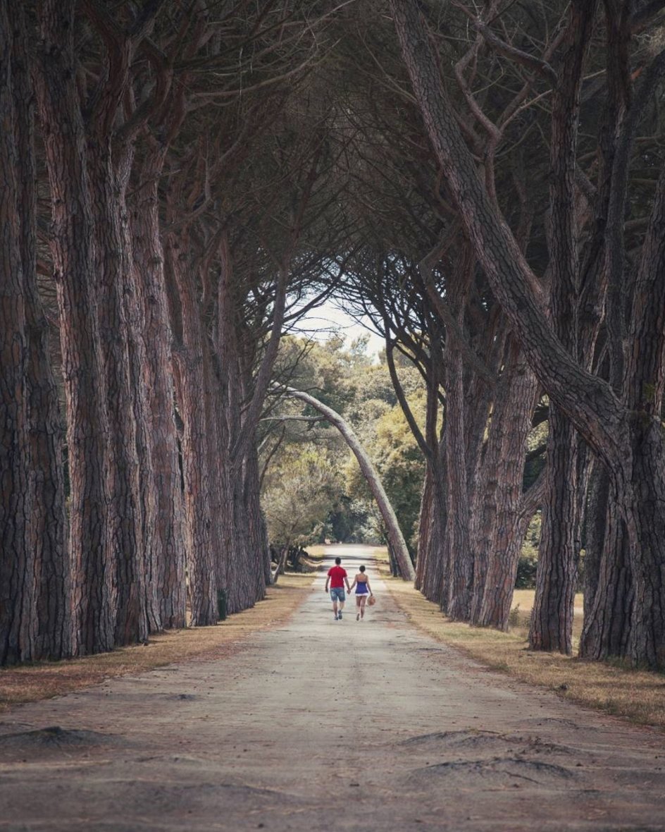 Made up of 14 beautiful islands, the <a href="/npbrijuni/">NP Brijuni</a> archipelago is one of Istria's most prized gems. #ShareIstria #nationalpark