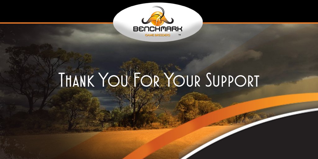 Benchmark tweet media