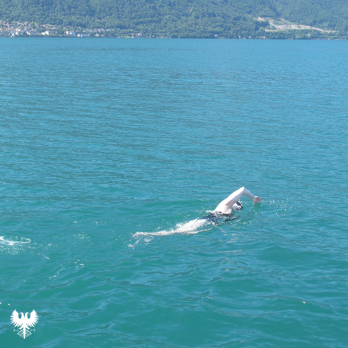 Lake Geneva Swimming Association tweet media