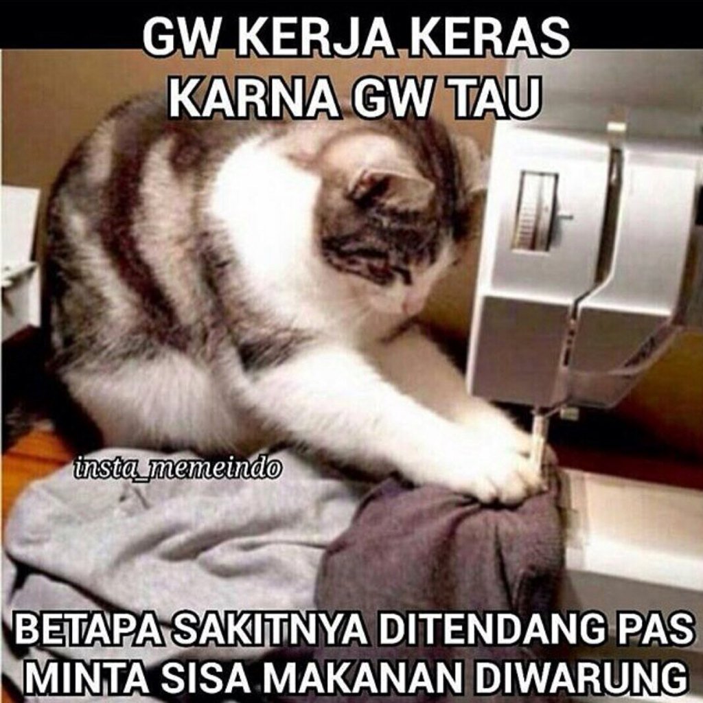 SonyPratama (@sony_1172) on Twitter photo 