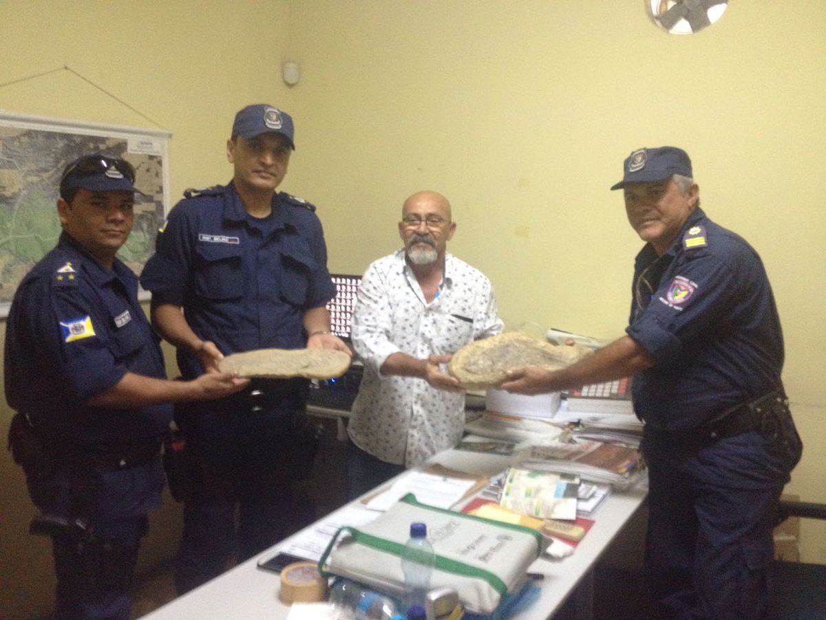 prefjuazeiro's tweet photo. GCM recupera fósseis e entrega ao escritório regional do DNPM. Saiba mais: https://t.co/6Cm08fgHC2 https://t.co/r1tMMeURAK