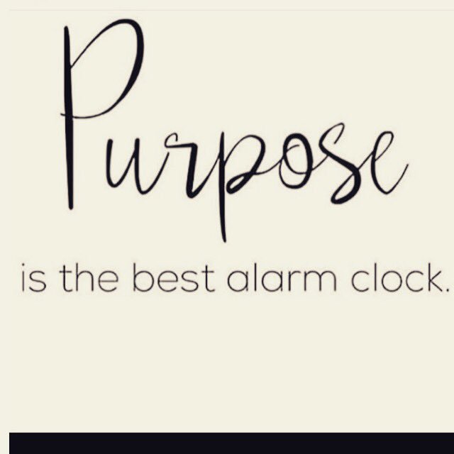 Showtime_711's tweet photo. What wakes you up in the Morning?
#tuesday #goodmorning #instagood #ohmygod #notafraid #focus #discipline #artist #art #purposeiscalling https://t.co/omo24WBd1j