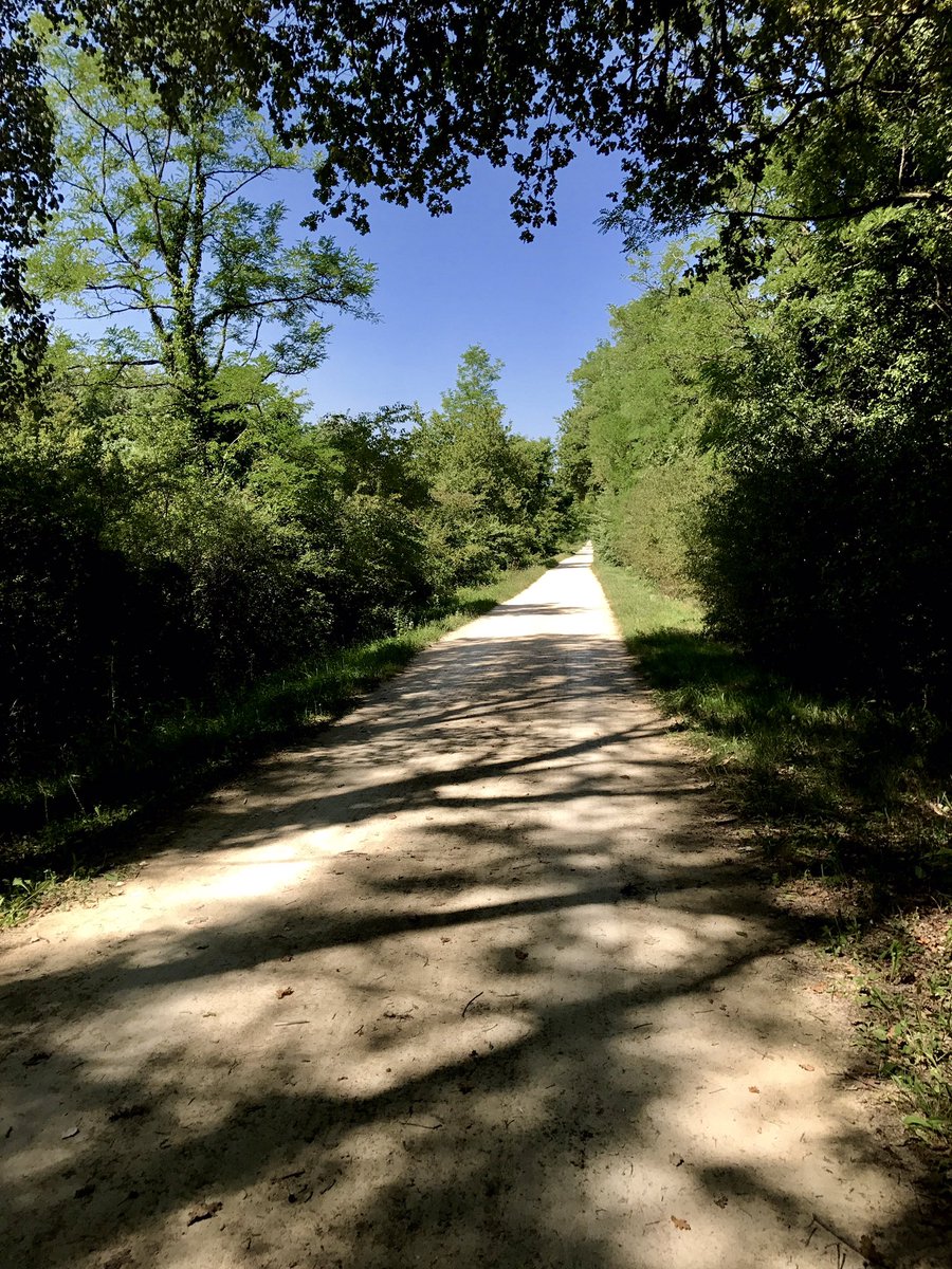 yoyo177sxb's tweet photo. #euroveloroute 5, 6 et 15 🚲☀️☀️ la petite Camargue alsacienne https://t.co/xCLVwOGj12