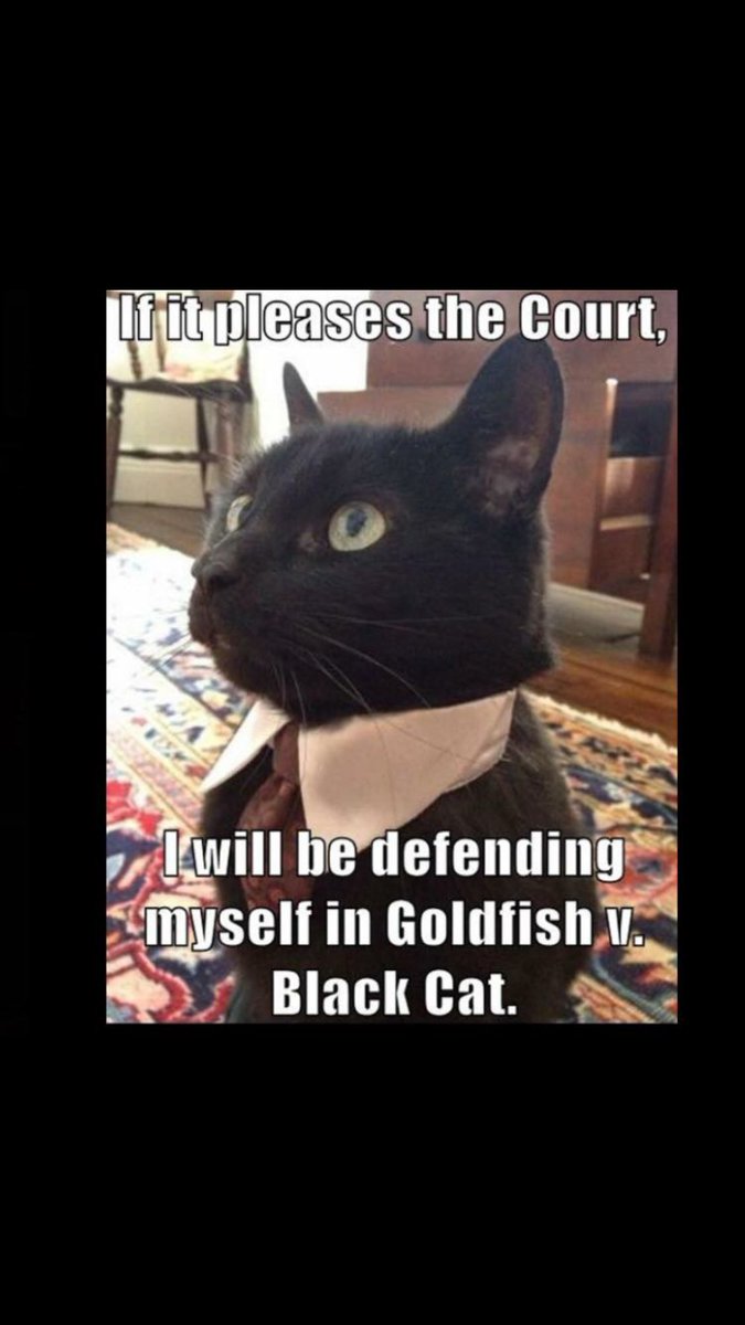 mccune_law's tweet photo. Don't battle the insurance company alone, call the McCune Law Office,PC today! 888-307-0007 https://t.co/nYHS0ADi9q