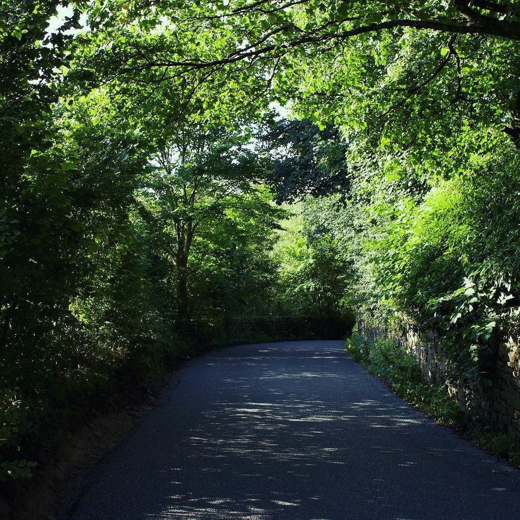 OllieBriggs's tweet photo. Well we know where we're going... — #nature #green #tree #road #countryside #country #england / #naturaleza #verde #camino #campo #inglater… https://t.co/3DjXxOF18Q