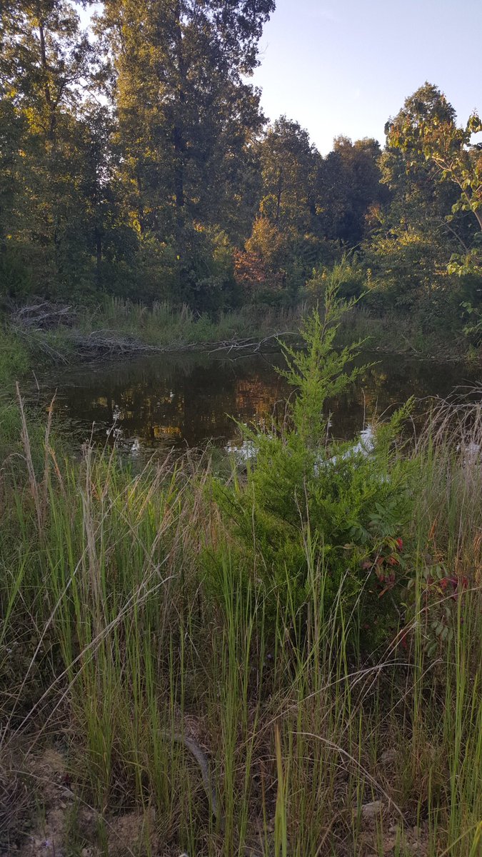 sassycamomama's tweet photo. #Deercrack #hunting #Womenwhohunt #hunter #camo #Madebyme #menwhohunt @LiveLoveHunt @Ozark_Hunter @BriankgambleNE https://t.co/hl1XiIaCTS