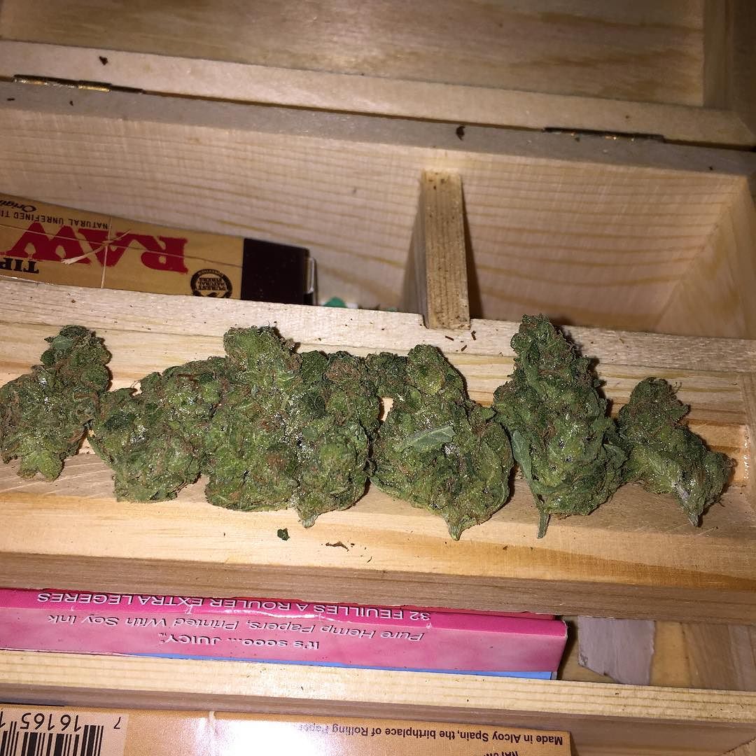 Psychosis Berries 👌🏻✌🏻️🍁 #weed #purple #cheese