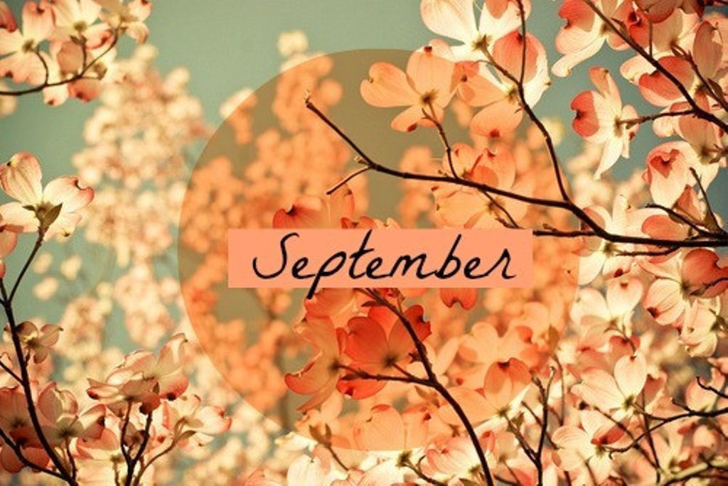 TheChocolateSun's tweet photo. Welcome September and all that comes with it.  As the season prepares to change, so can we.  #growth #change #justbe #breathe https://t.co/Xb3Yh14NgW