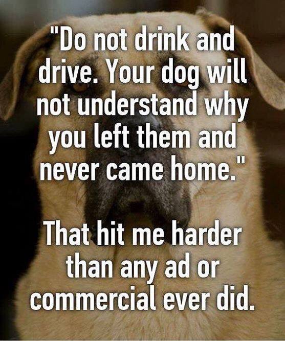 #DontDrinkandDrive