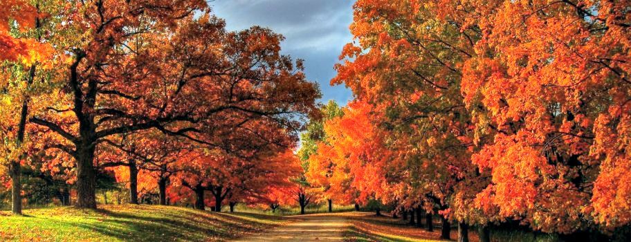 GayTravel's tweet photo. 4 Tips for a Gorgeous Fall Foliage Trip https://t.co/IQkdttw8k6 #fallcation #gaytaway https://t.co/KniO5CONDu
