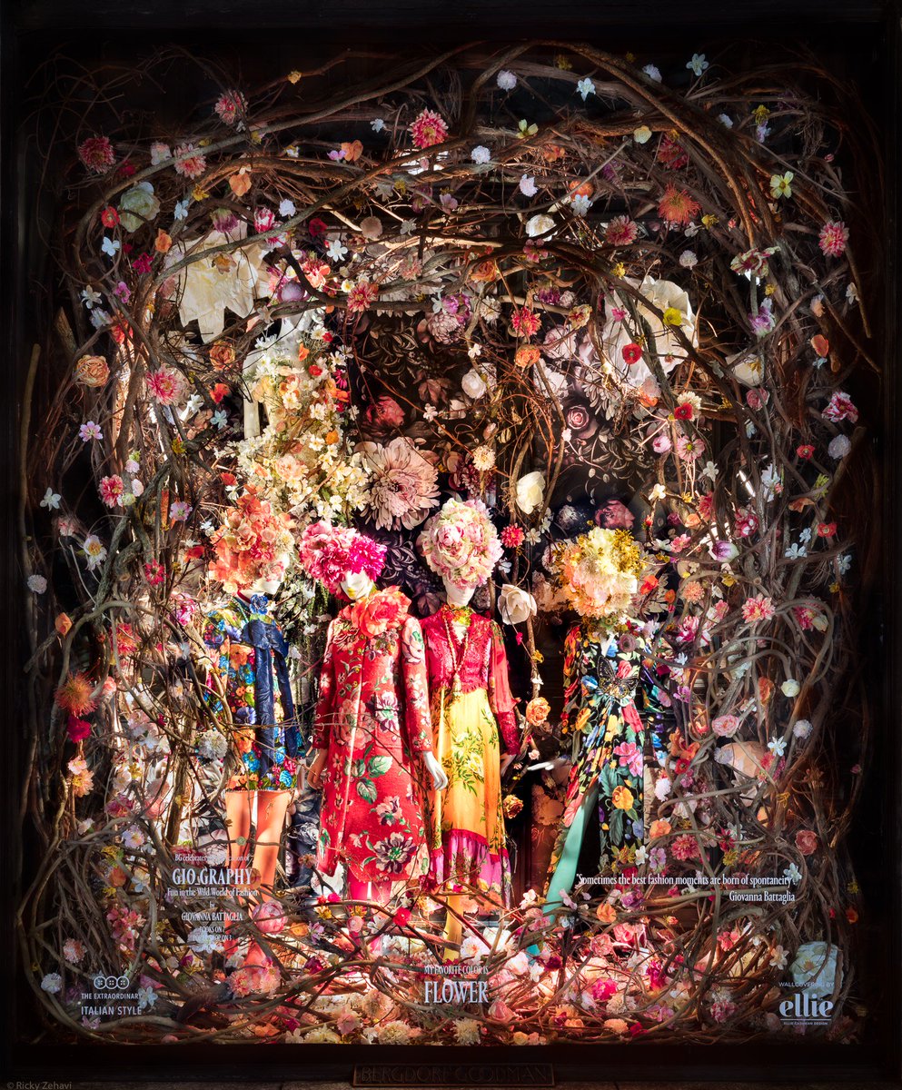 Bergdorfs's tweet photo. In celebration of her new book #Gio_graphy, @Bat_Gio curates the #BGWindows to reflect her iconic Italian style. [Photo credit Ricky Zehavi] https://t.co/hfqXD6NmkQ