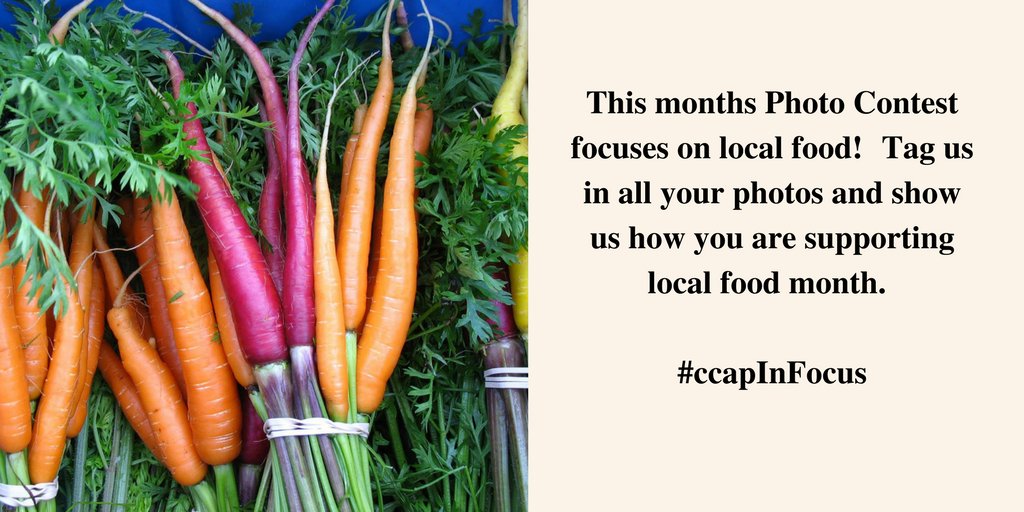 ClimatePtbo's tweet photo. This months photo contest is all about Farms Fields&amp;Food, show us how you support #Localfoodmonth in the #GPA by tagging us in your photos!📸 https://t.co/4MbqBrQlp6