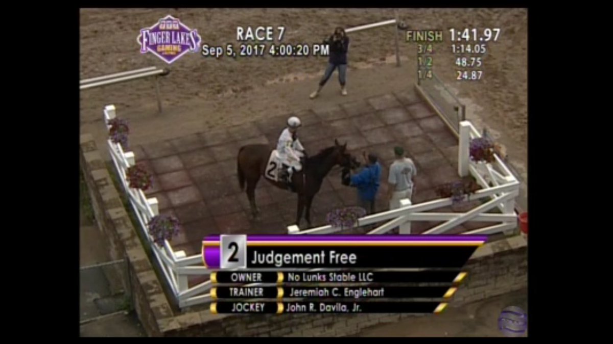 nolunks_stables's tweet photo. Another win for Judgement Free #3 https://t.co/JiHdi3CEGn