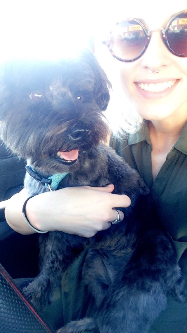 Sutsch_Allie's tweet photo. Tomorrow is officially a year that I had to put down my best friend and I am slowing getting more upset about it. #RIPmoo https://t.co/K5tB4wetZN