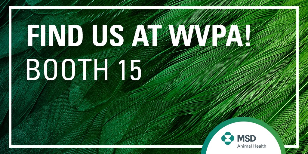 MSDAnimalHealth's tweet photo. If you are attending #WVPA2017 in Edinburgh this year, make sure you visit us at booth 15! #redmiteexpert #alwaysproducingmore https://t.co/C3VzPK4sBW