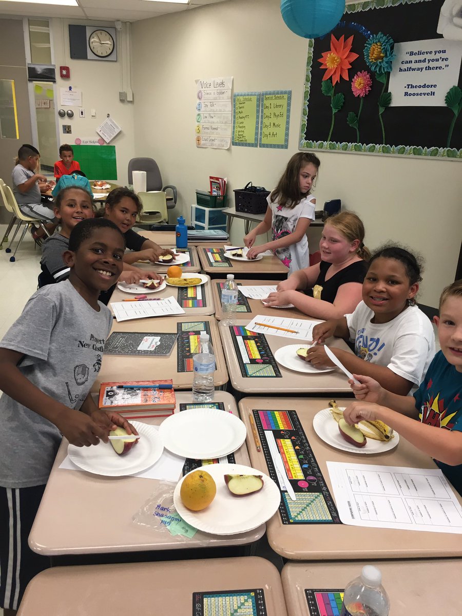 CarolRuggerio's tweet photo. Science groups searching for seeds! #structuresoflife @marbrkprincipal @DanaFarrior @LevitzaAmg https://t.co/CTs3RpqUaB