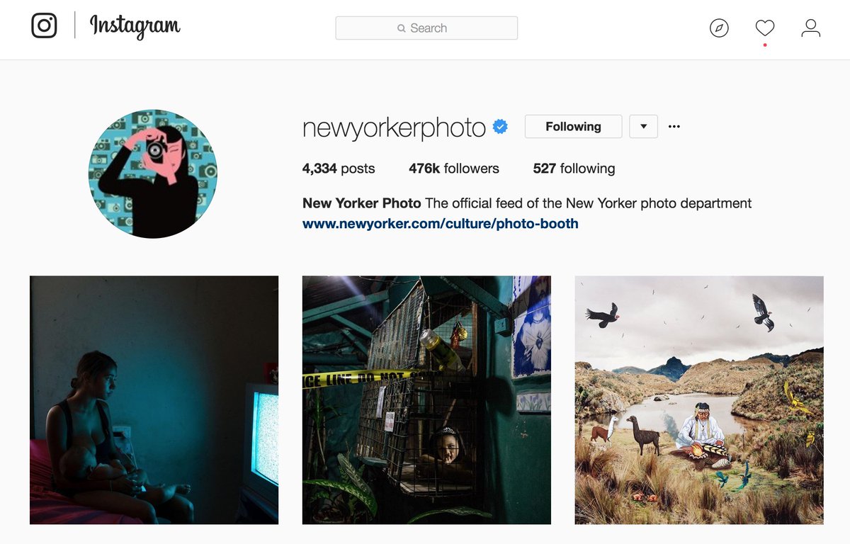 womenphotograph's tweet photo. Check out The @NewYorker's instagram account — @womenphotograph is sharing work from our members this week! https://t.co/PjFYmnGtwj https://t.co/0LEXgS5s6w