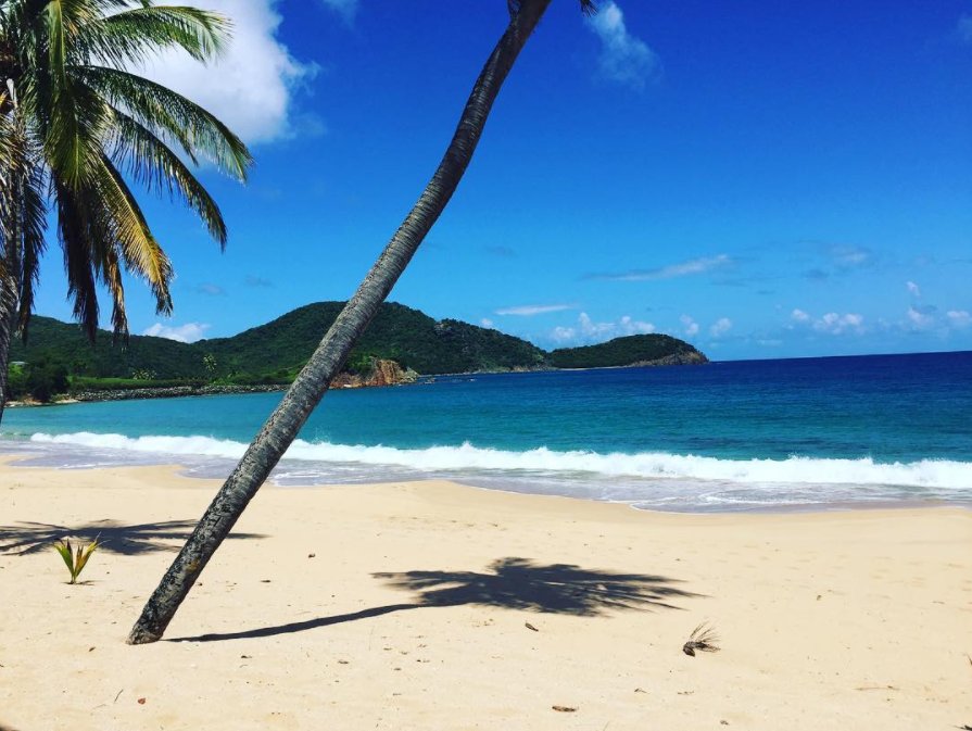 LDPR's tweet photo. We're with the Caribbean - standing by our family, friends, clients &amp; colleagues this week 💙
 📸: one of our favorite beaches, @Curtain_Bluff https://t.co/URL0cRnGSi