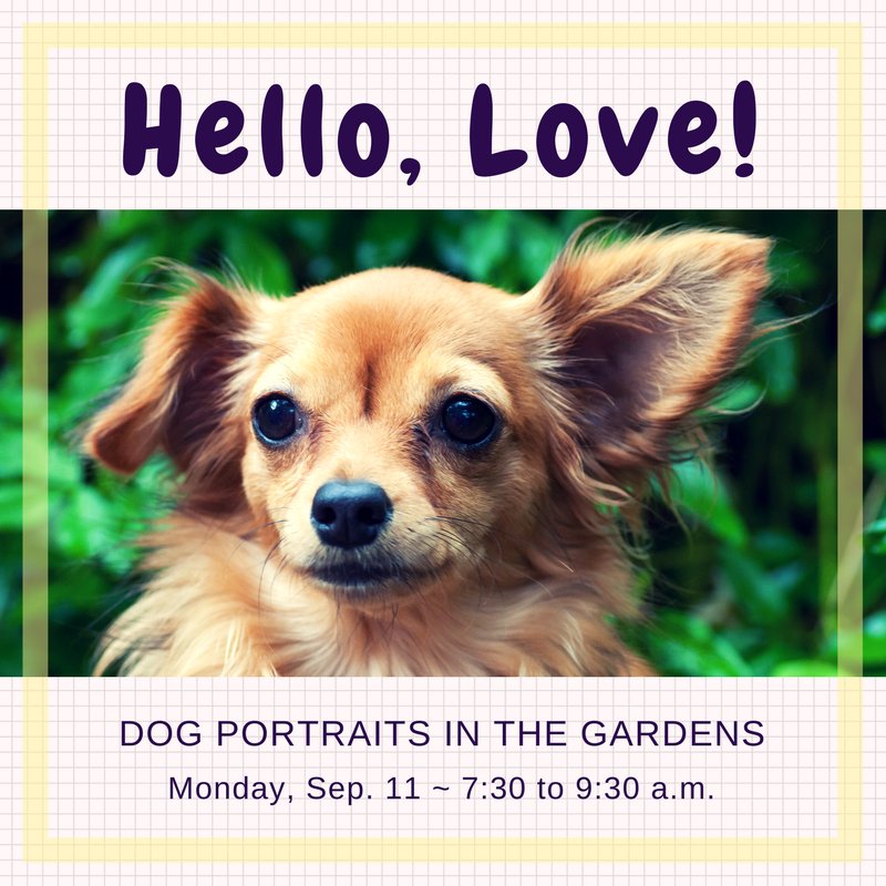 TucBotanical's tweet photo. #DogPortraits! Next Monday from 7:30 to 9:30 a.m. Check out our website: https://t.co/xg4xl6mJgG
#tucson #dogs #tucsondogs #dogdays https://t.co/q0X43pBPVk
