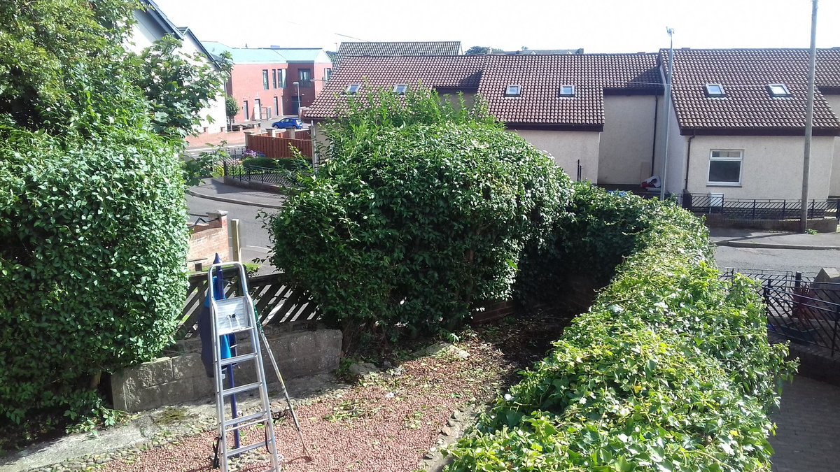 essentials_plus's tweet photo. Another happy customer, garden renovation #Greenways leading in #Voctraining  #realskills supporting our next generation @North_Ayrshire https://t.co/8IvxXosZci