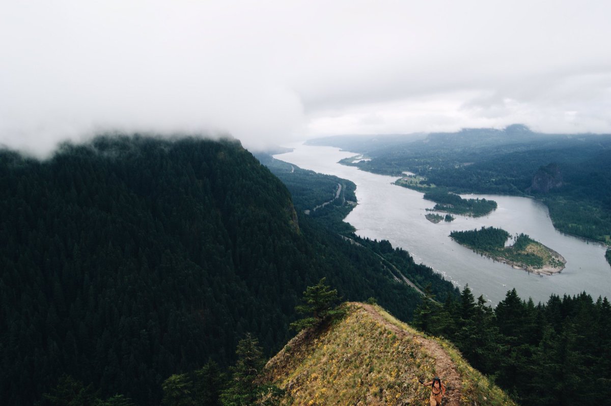ElijahDiggins's tweet photo. Devastated that the place we call home was treated like this 😞 #PNW https://t.co/qzlc4erqgO