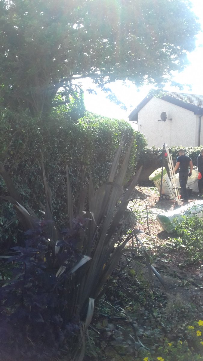 essentials_plus's tweet photo. Another happy customer, garden renovation #Greenways leading in #Voctraining  #realskills supporting our next generation @North_Ayrshire https://t.co/8IvxXosZci